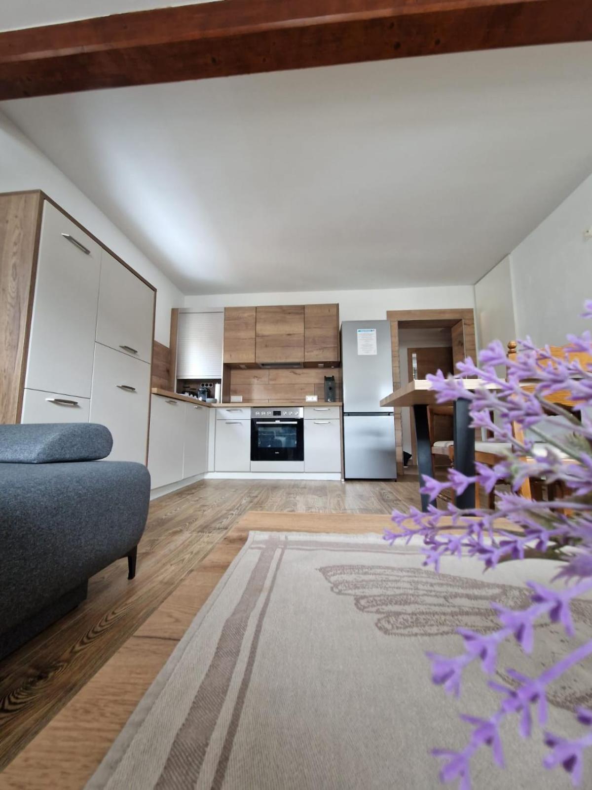 Apartament Haus-Ennstal Oblarn Zewnętrze zdjęcie